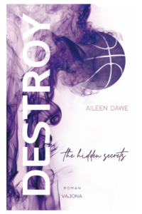 Cover Destroy the hidden secrets